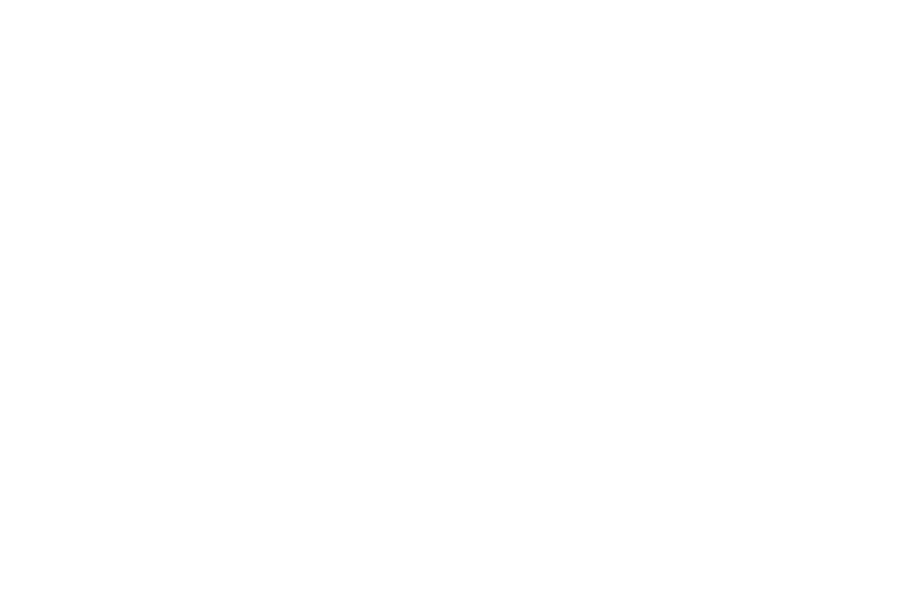 Family Fest